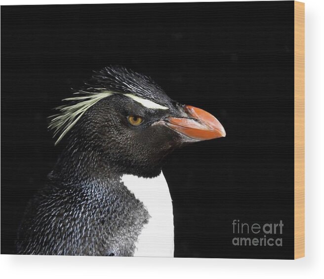 Penguin Wood Print featuring the photograph Pengun Profile by Beth Myer Photography