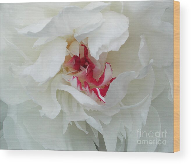 Flower Wood Print featuring the photograph Peony by Jim Wright