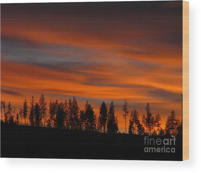 Art For The Wall...patzer Photography' Wood Print featuring the photograph Perfect Evening by Greg Patzer