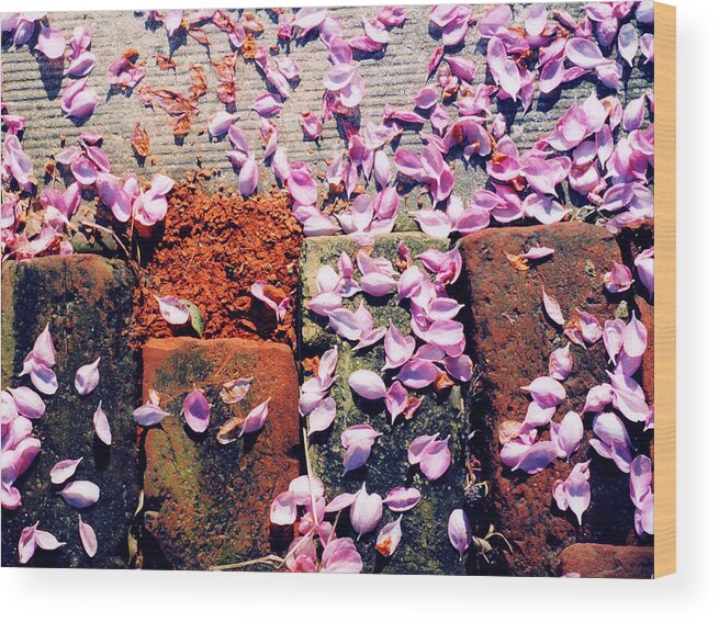 Spring Wood Print featuring the photograph Petals on the Bricks 2 AE by Lyle Crump