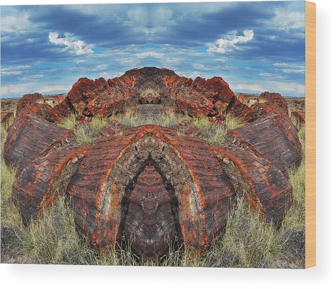 Petrified Forest National Park Wood Print featuring the photograph Petrified Forest Arizona Mirror by Kyle Hanson