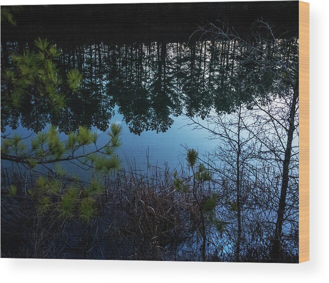  Wood Print featuring the photograph Pine Barren Reflections by Louis Dallara