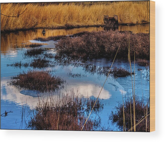 Landscape Wood Print featuring the photograph Pineland Cloud Reflections by Louis Dallara