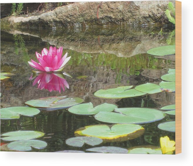Pink Wood Print featuring the photograph Pink Waterlilly by Laurianna Taylor