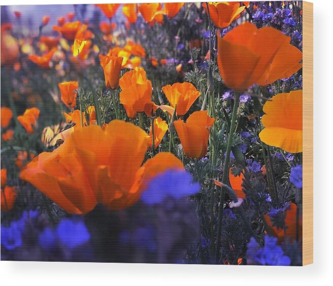 Mist Wood Print featuring the digital art Poppies Popping by Kevyn Bashore