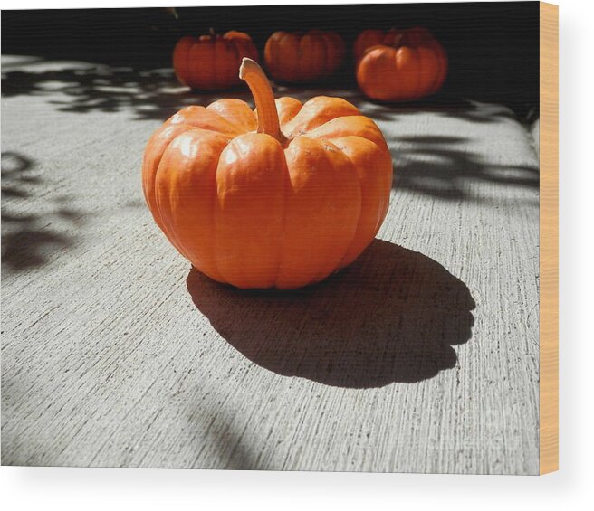 Pumpkin Wood Print featuring the photograph Poppy Pumpkin by Barbara Leigh Art