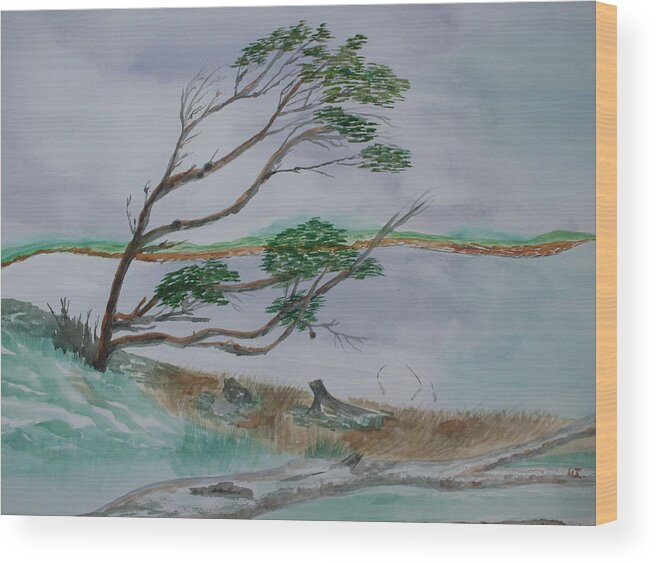 Landscape Argentina Trees Seaside Wood Print featuring the painting Powerful Winds of Tierra del Fuego Argentina by Warren Thompson