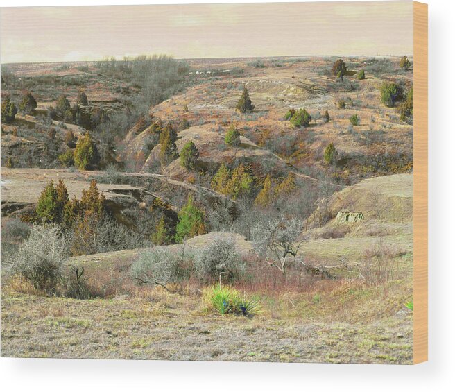 North Dakota Wood Print featuring the photograph Prairie Edge Reverie by Cris Fulton