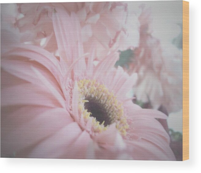 Pink Flowers Wood Print featuring the photograph Pretty in Pink by Mary Wolf