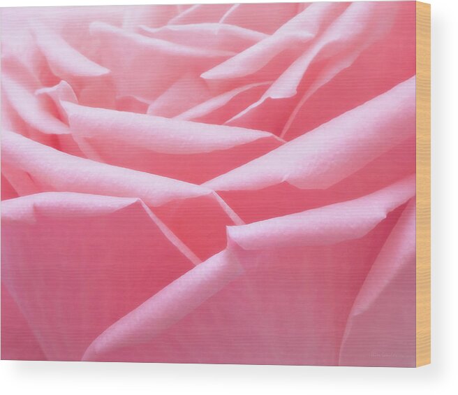 Pink Wood Print featuring the photograph Pretty in Pink by Wim Lanclus