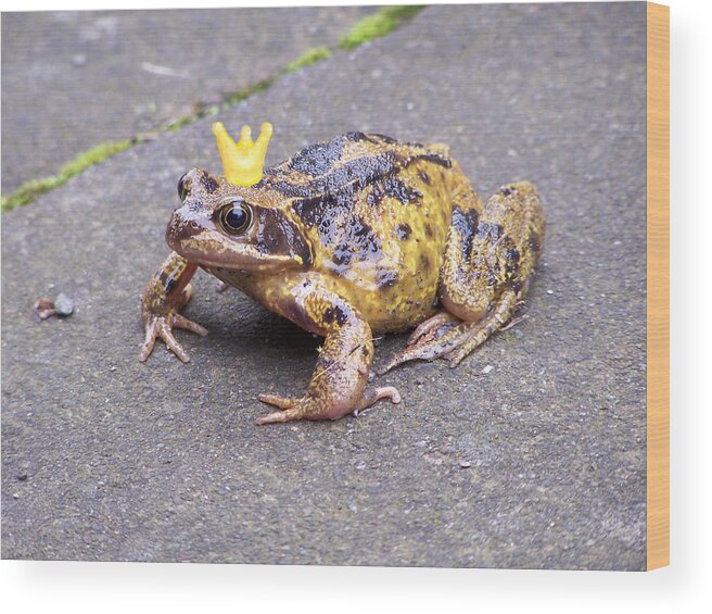 Princess Frog Wood Print featuring the photograph Princess Frog by Elena Perelman