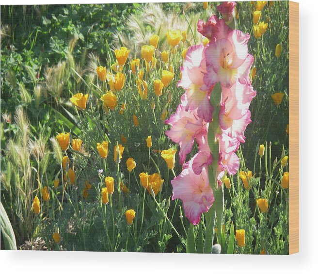 Poppies Wood Print featuring the photograph Priscilla With Poppies by Stephen Daddona
