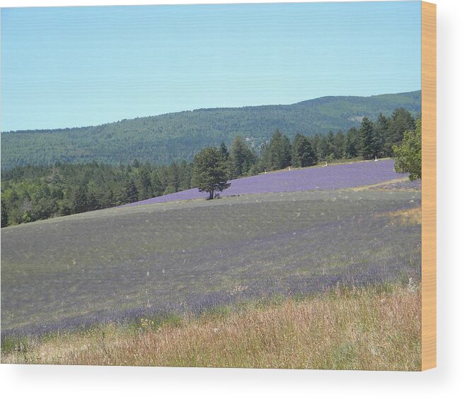 Provence Wood Print featuring the photograph Provence landscape by Manuela Constantin