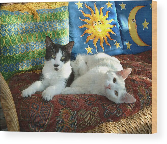Cat; Brother; Brothers; Relax; Relaxing; Relaxed; Cats; Pet; Pets; Cute; Curious; Curiousity; Portrait; Faces; Comfort; Comfortable Wood Print featuring the photograph Puddy Tats Relax by Gerard Fritz