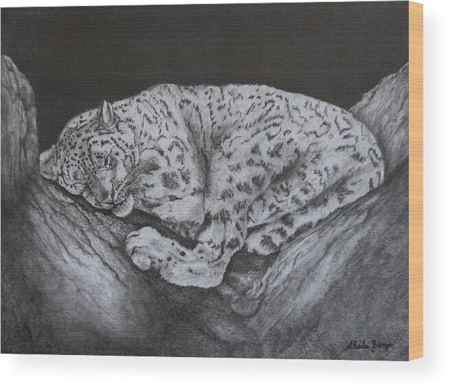 Cats Wood Print featuring the drawing Quiet Please by Sheila Banga