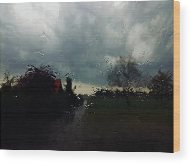 Rain Wood Print featuring the photograph Rainy Day by Wolfgang Schweizer
