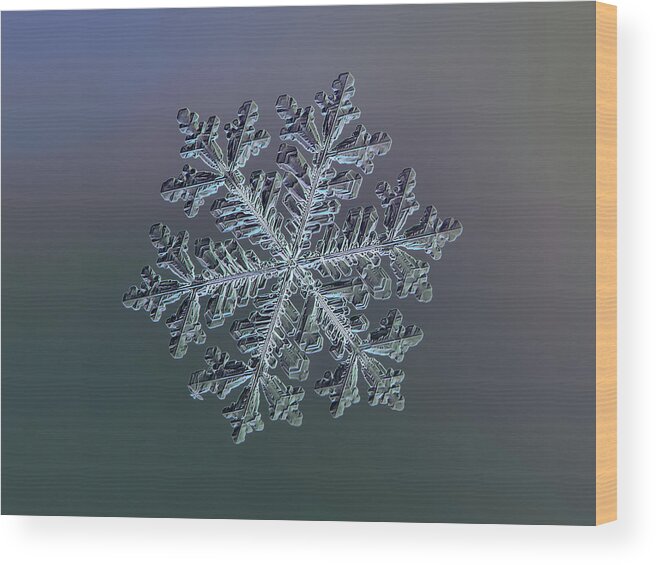 Snowflake Wood Print featuring the photograph Real snowflake - Hyperion dark by Alexey Kljatov