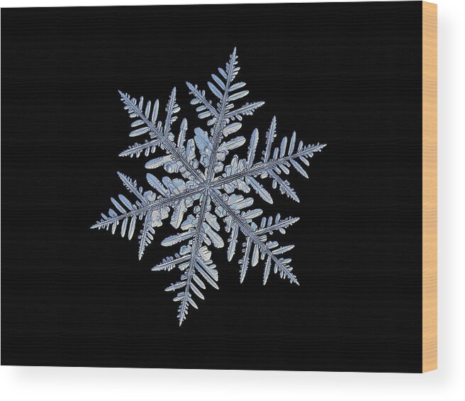 Snowflake Wood Print featuring the photograph Real snowflake - Silverware black by Alexey Kljatov