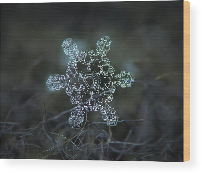 Snowflake Wood Print featuring the photograph Real snowflake - Slight Asymmetry new by Alexey Kljatov