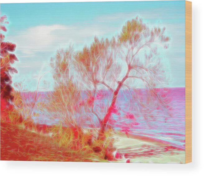 Beach Wood Print featuring the photograph Red Glow Beach Tree by Aimee L Maher ALM GALLERY