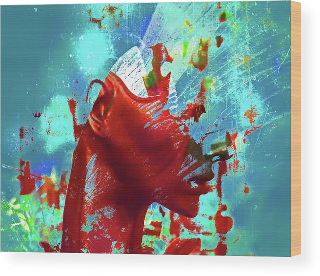 Head Wood Print featuring the photograph Red head in explosion by Gabi Hampe