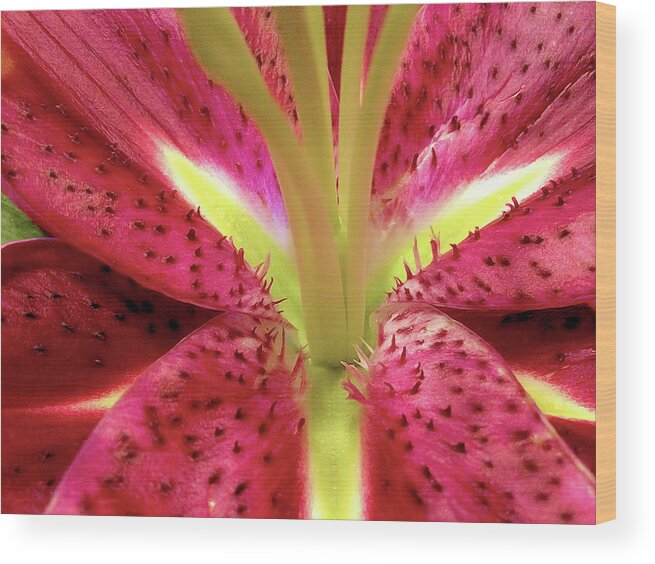 Nature Wood Print featuring the photograph Red Lily Closeup by Linda Carruth