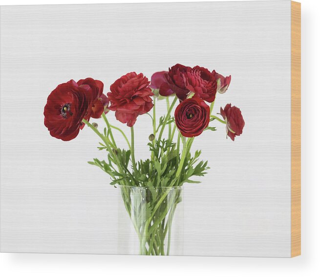 Red Ranunculus Wood Print featuring the photograph Red Ranunculus by Kim Hojnacki