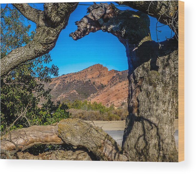 Red Rock Wood Print featuring the photograph Red Rock Cliffs by Pamela Newcomb