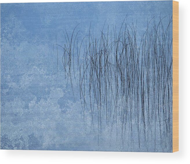 Reeds Wood Print featuring the photograph Reeds Variation 4 by Tom Reynen