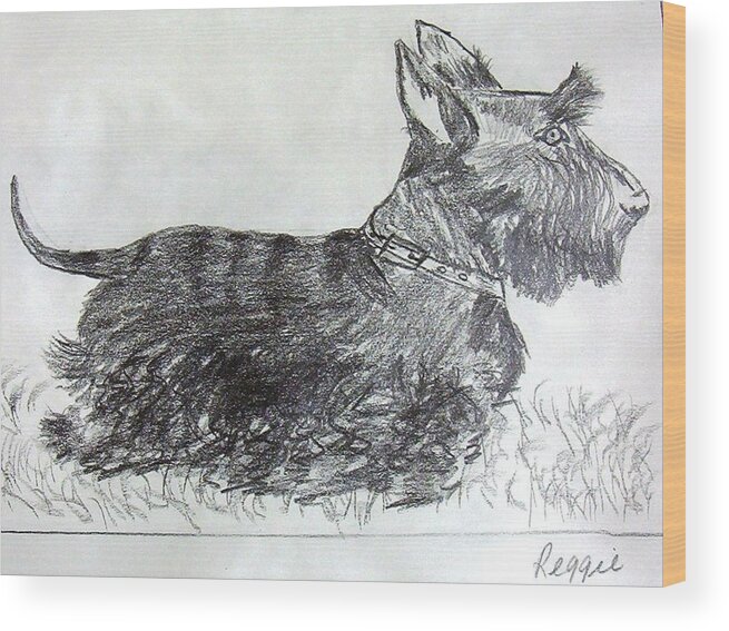 Scottie Wood Print featuring the drawing Reggie by Jamie Frier