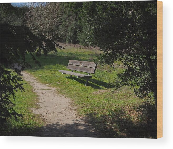 Landscape Wood Print featuring the photograph Rest Along the Path by Richard Thomas