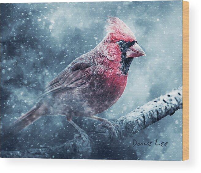 Cardinal Wood Print featuring the mixed media Riding Out The Storm by Dave Lee