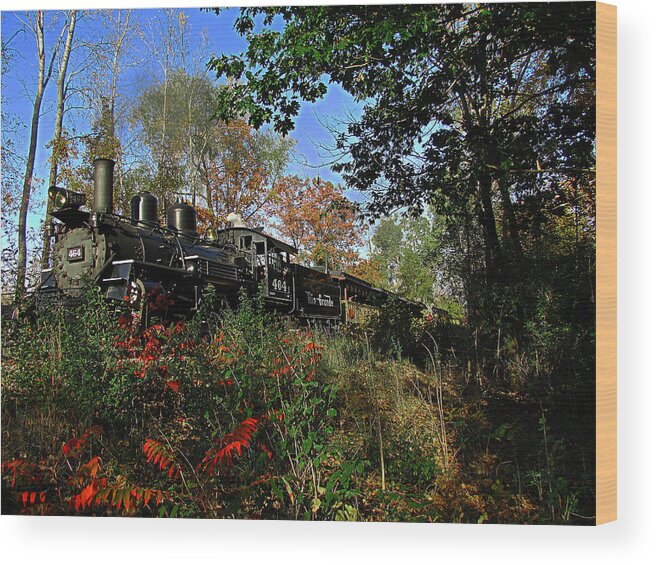 Train Wood Print featuring the photograph Rio Grande 464 by Scott Hovind