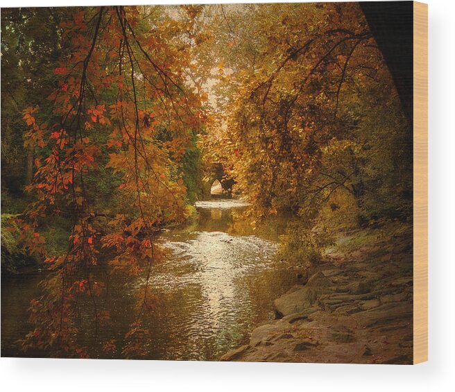 Autumn Wood Print featuring the photograph Riverbank Light by Jessica Jenney
