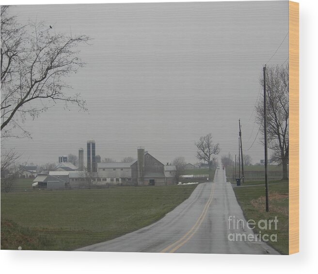 Amish Wood Print featuring the photograph Road to Paradise by Christine Clark