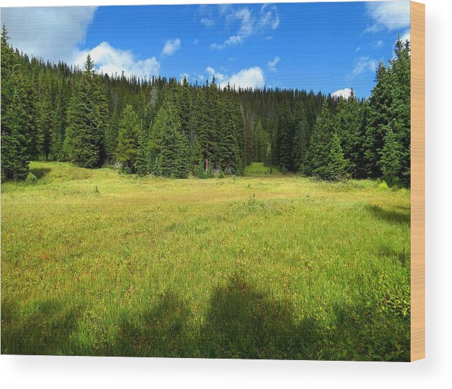 Meadow Wood Print featuring the photograph Rocky Mountain Meadow by Connor Beekman