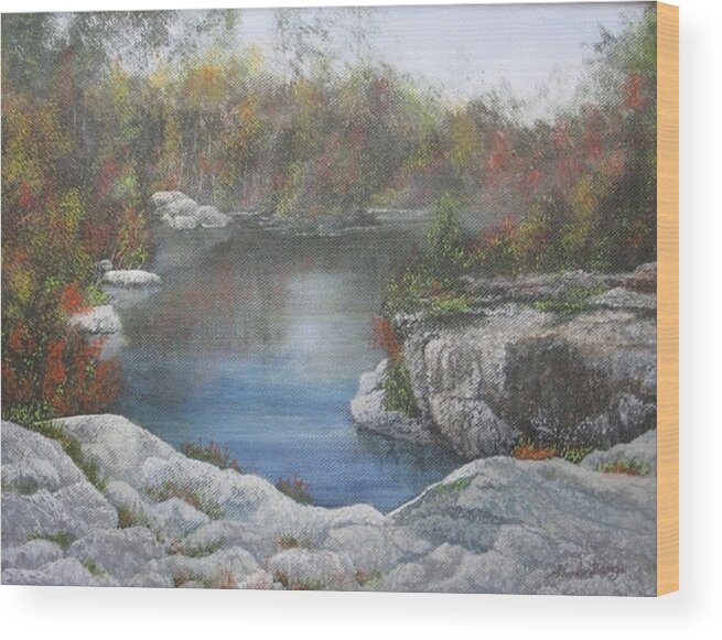 Landscape Wood Print featuring the painting Rocky Pond by Sheila Banga