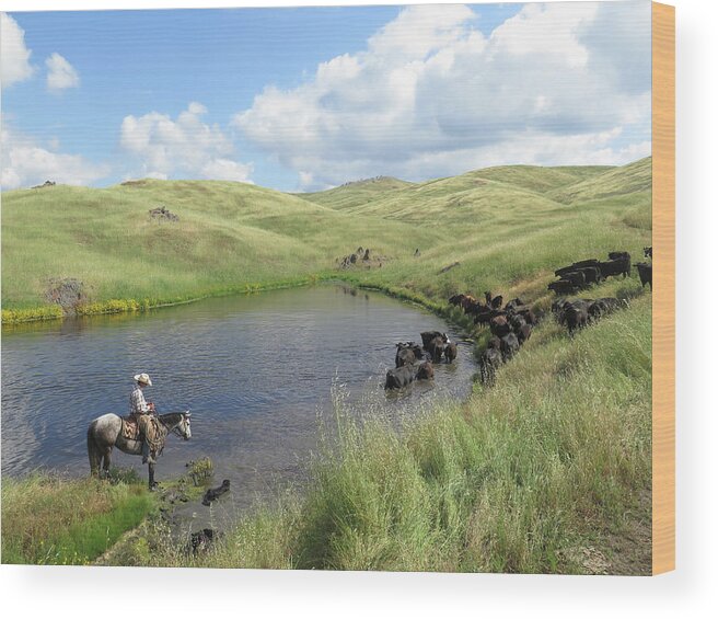 Cattle Wood Print featuring the photograph Rolling Hills by Diane Bohna