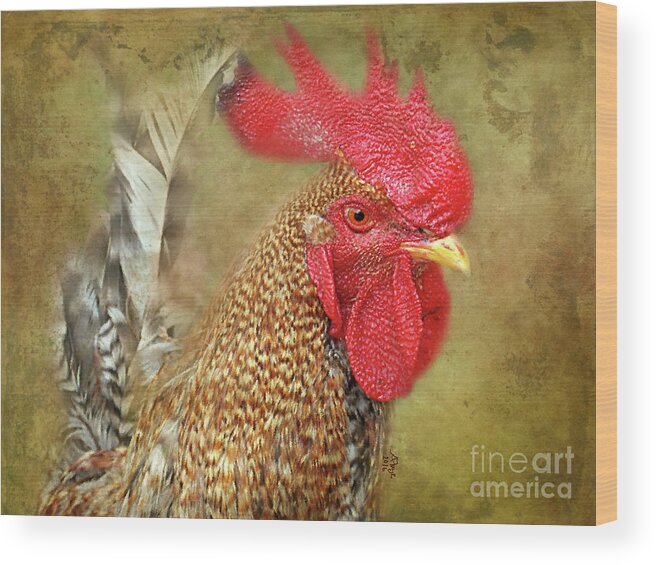 Rooster Profile Wood Print featuring the photograph Rooster Profile by Anita Faye