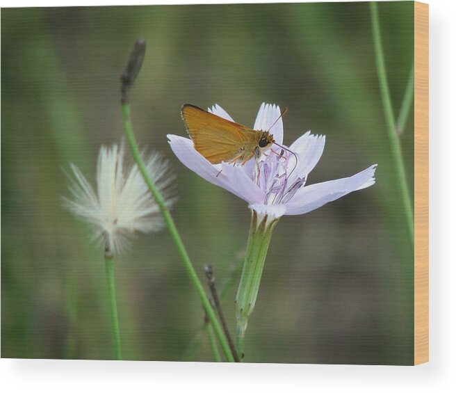 Nature Wood Print featuring the photograph Roserush by Peggy Urban