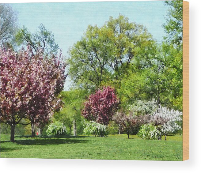 Spring Wood Print featuring the photograph Row of Flowering Trees by Susan Savad