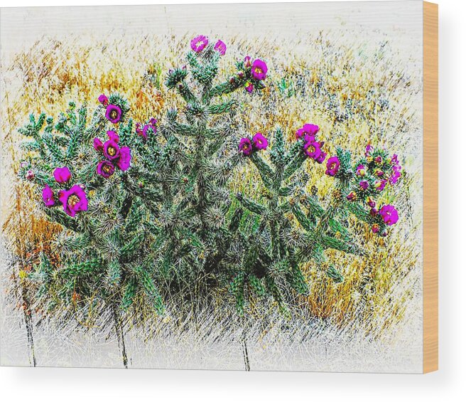 United States Wood Print featuring the photograph Royal Gorge Cactus with flowers by Joseph Hendrix