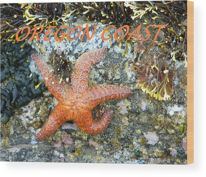 Starfish Wood Print featuring the photograph Running Starfish by Gallery Of Hope 