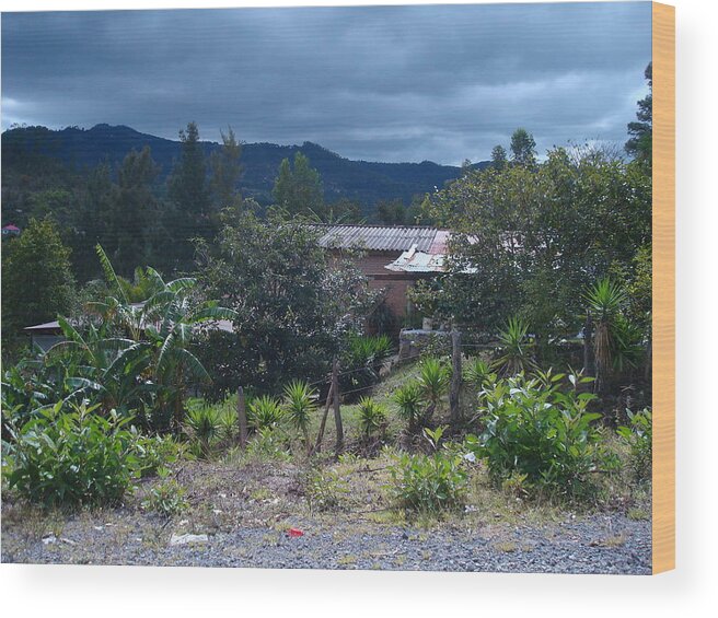Digital Art Wood Print featuring the photograph Rural Scenery 1 by Carlos Paredes Grogan