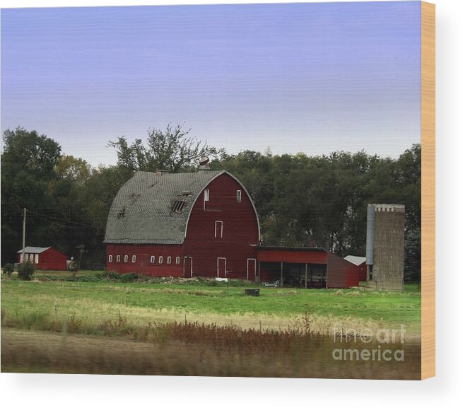 Barns Wood Print featuring the photograph Rural SD Red Barn by Yumi Johnson