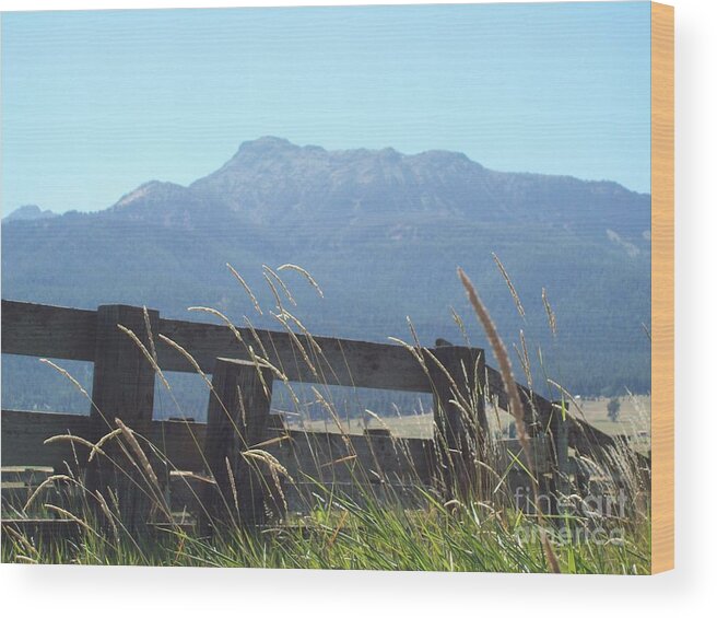 Landscape Wood Print featuring the photograph Rustic Fence On Mountain Landscape by Carol Riddle