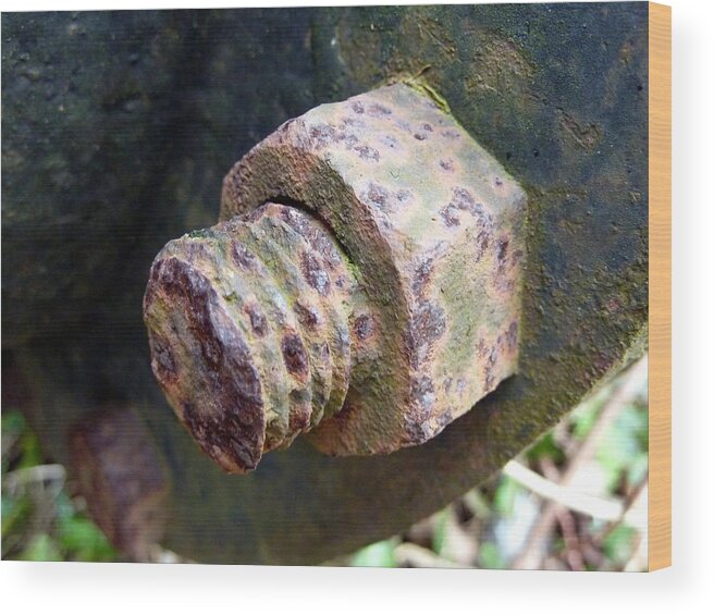 Screw Wood Print featuring the photograph Rusty screw by Lukasz Ryszka