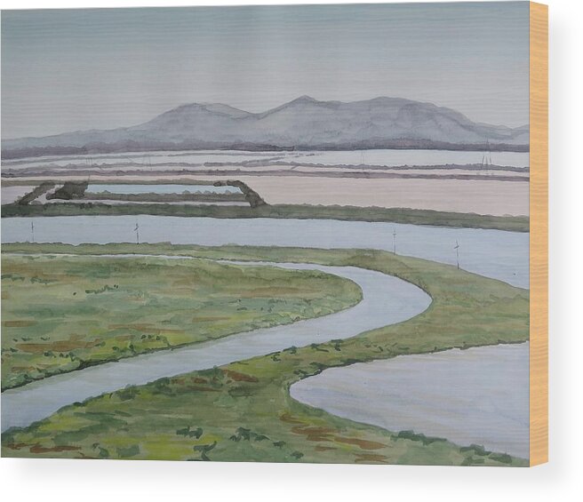 Plein Air Wood Print featuring the painting Salt Fields by Bethany Lee