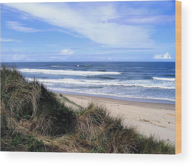Sand And Sea Wood Print featuring the photograph Sand And Sea 12 by Will Borden