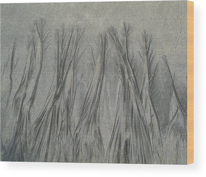 Sand Wood Print featuring the photograph Sand Reels by Joe Palermo